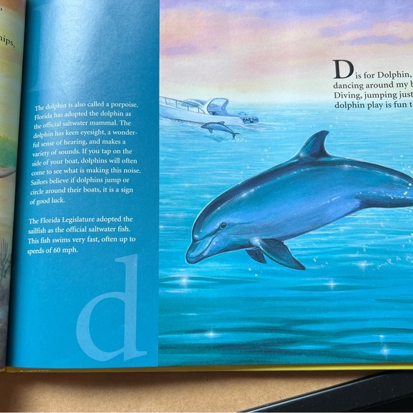 Hardcover First Edition “S IS FOR SUNSHINE; A Florida Alphabet” Carol Crane - Picture 10 of 15